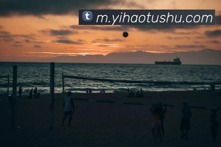 奖项证书